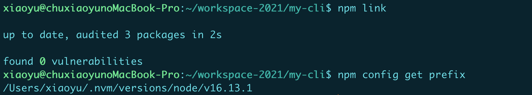 npmlink